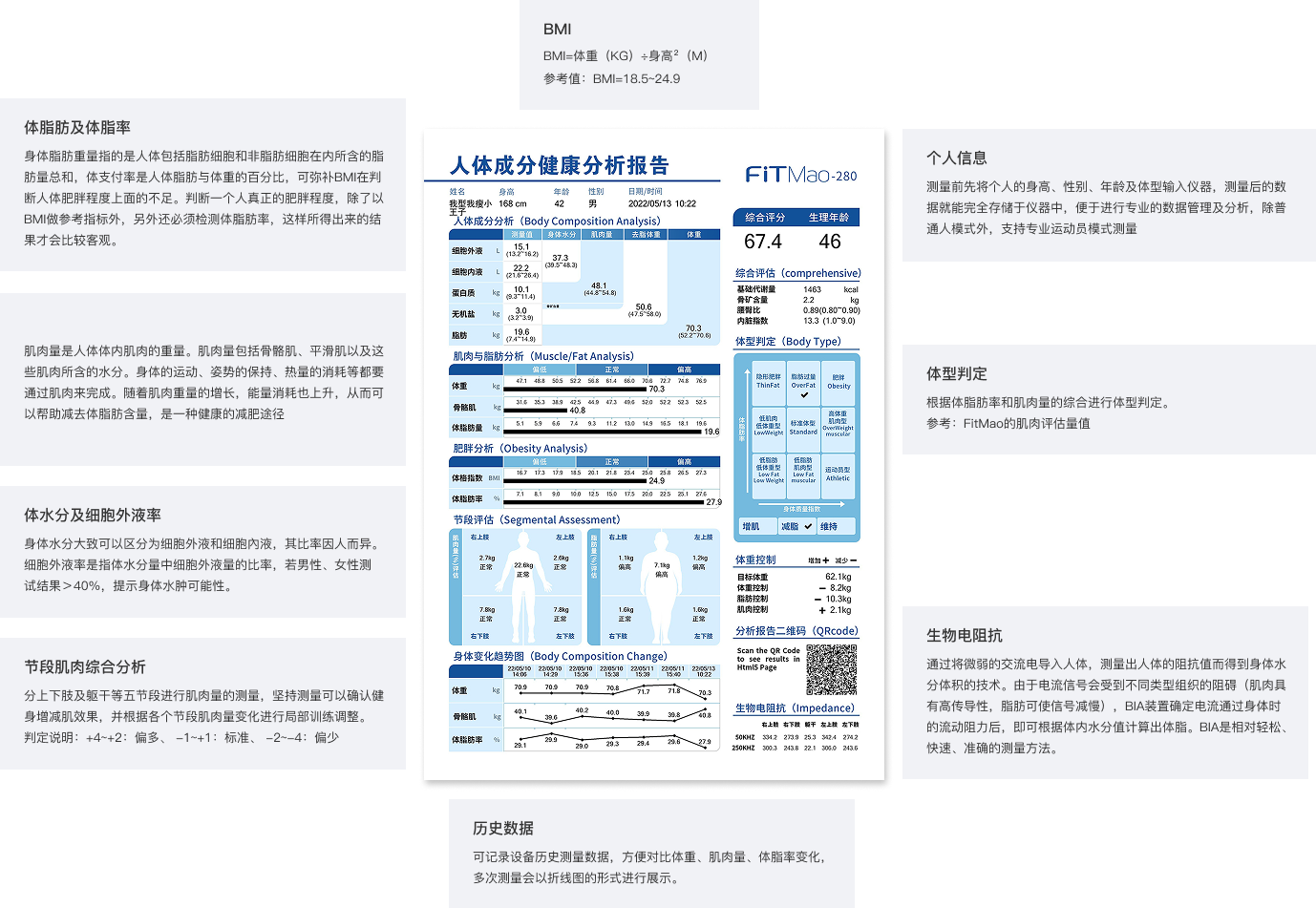 Body Composition Report Interpretation