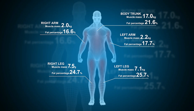 X-SCAN 人体成份分析仪PLUS II简介