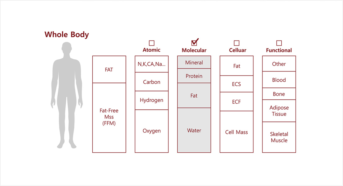 Body Composition